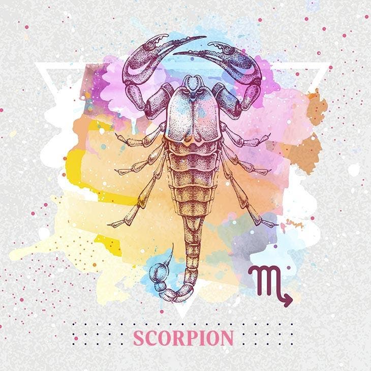 Scorpion