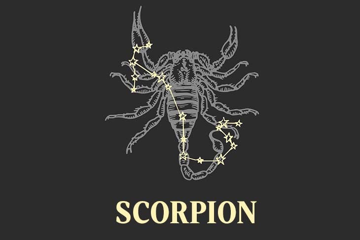 Scorpion – source : spm