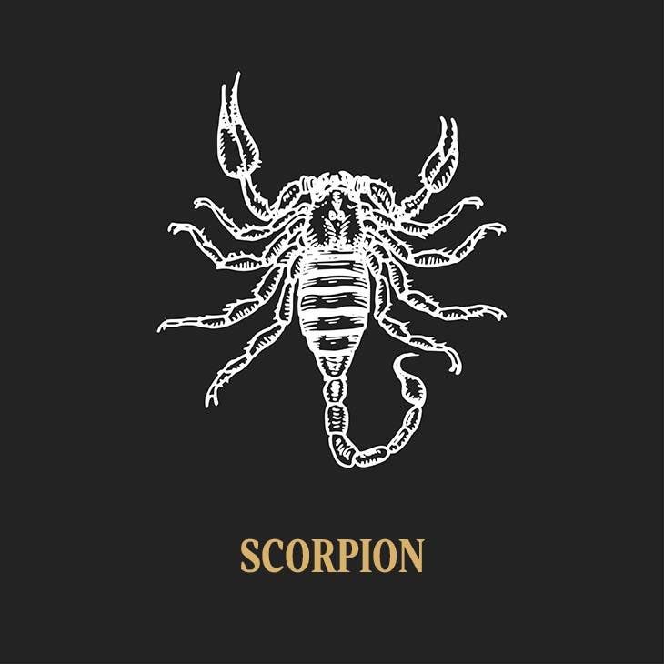 Signe du zodiaque scorpion