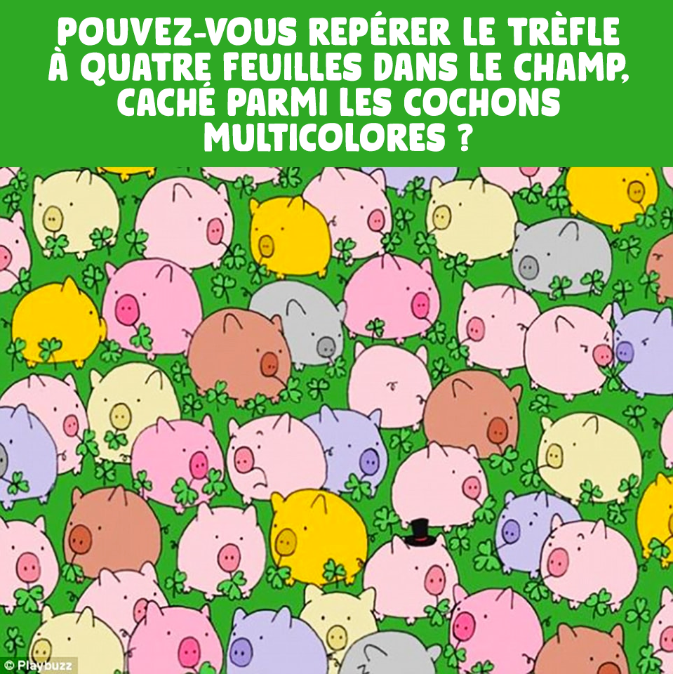 seuls-les-genies-pourront-trouver-le-trefle-a-quatre-feuilles-cache-parmi-les-cochons-multicolores