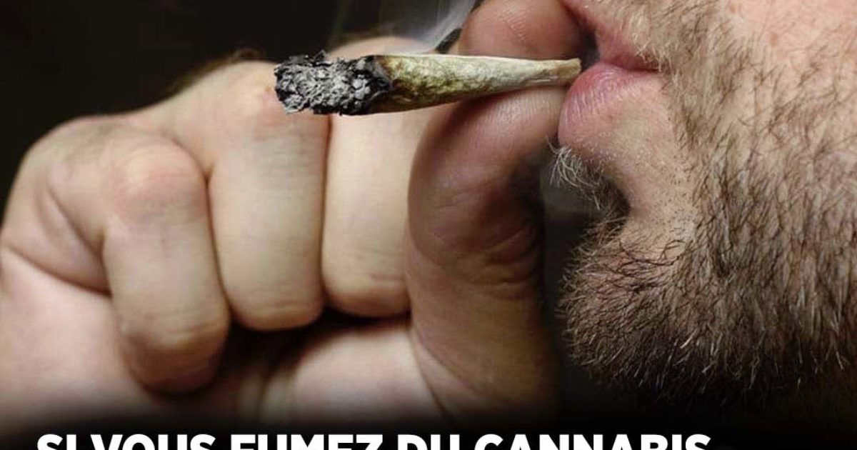 Si vous fumez du cannabis après 30 ans, les scientifiques ont de mauvaises nouvelles pour vous