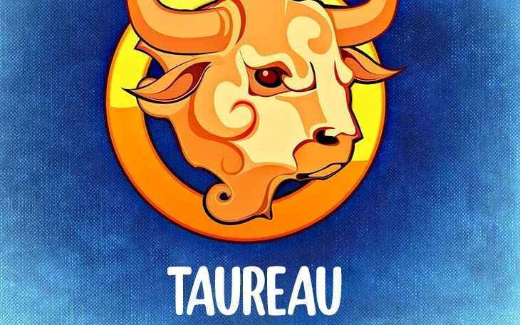 taureau-15