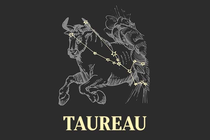 Taureau – source : spm