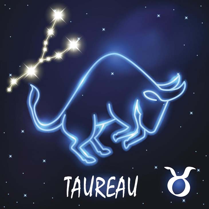 taureau-jaloux-22