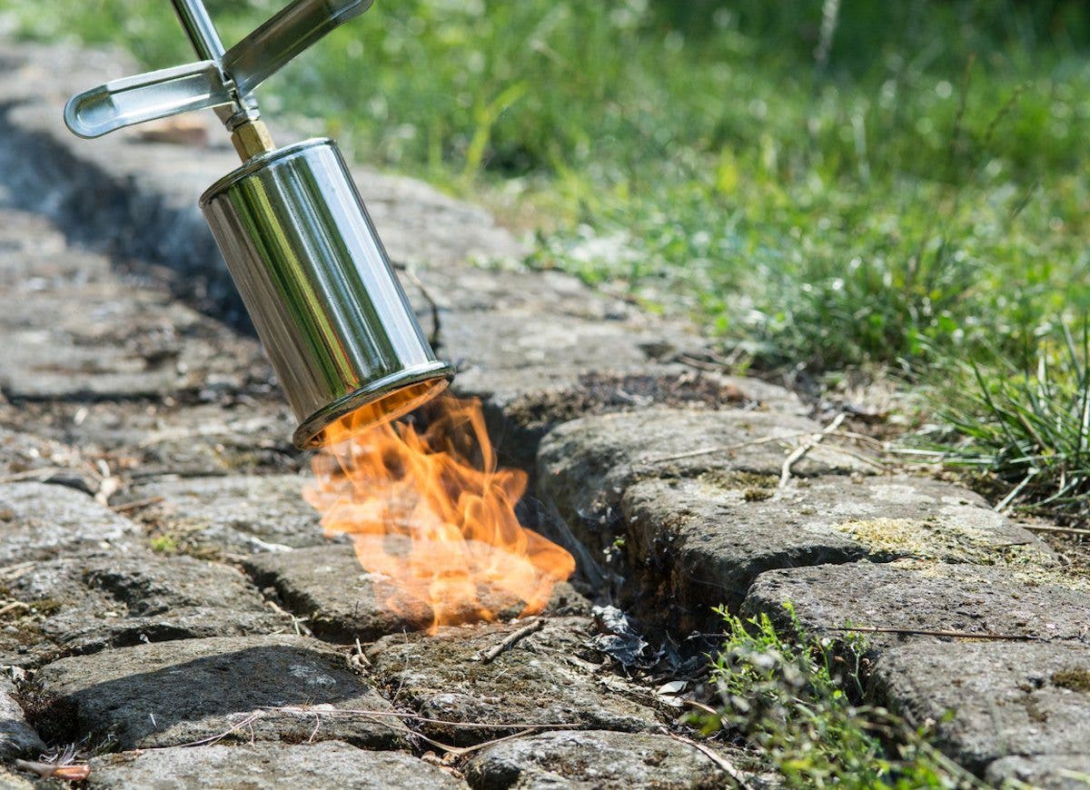 La torche à désherbage pour éliminer les mauvaises herbes entre les dalles. source : bobvila