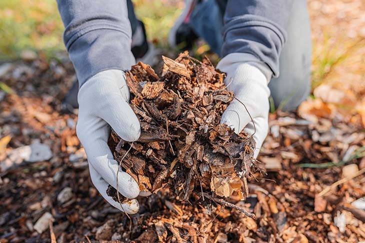 Un compost - source : spm