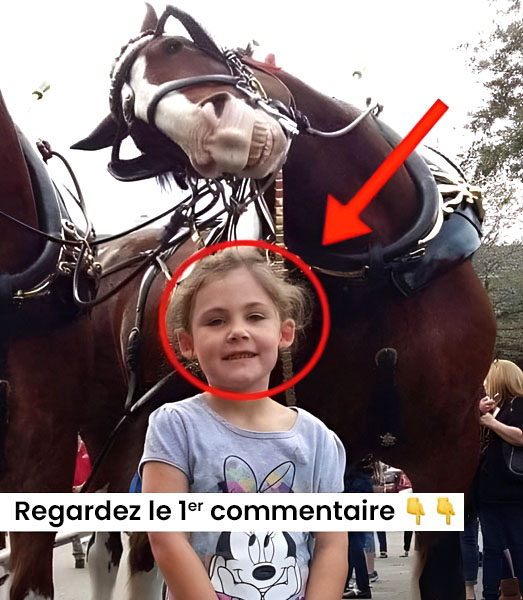 Un père capture une photo de sa fille aux côtés d’un cheval. En examinant l’image de plus près, il reste sans voix face à ce qu’il découvre