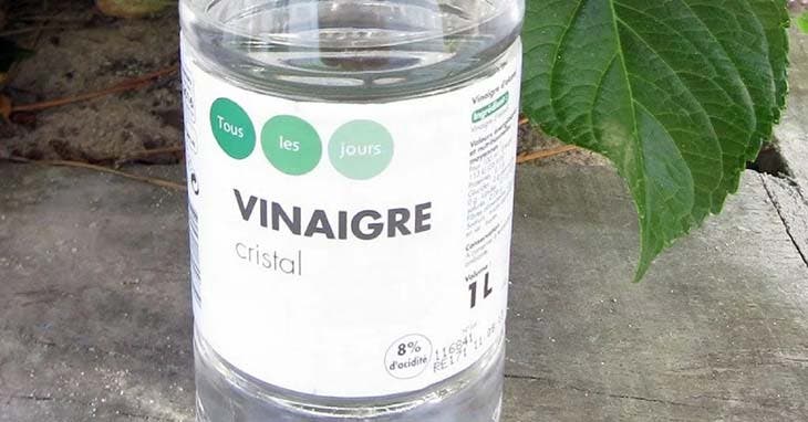 vinaigre blanc-1