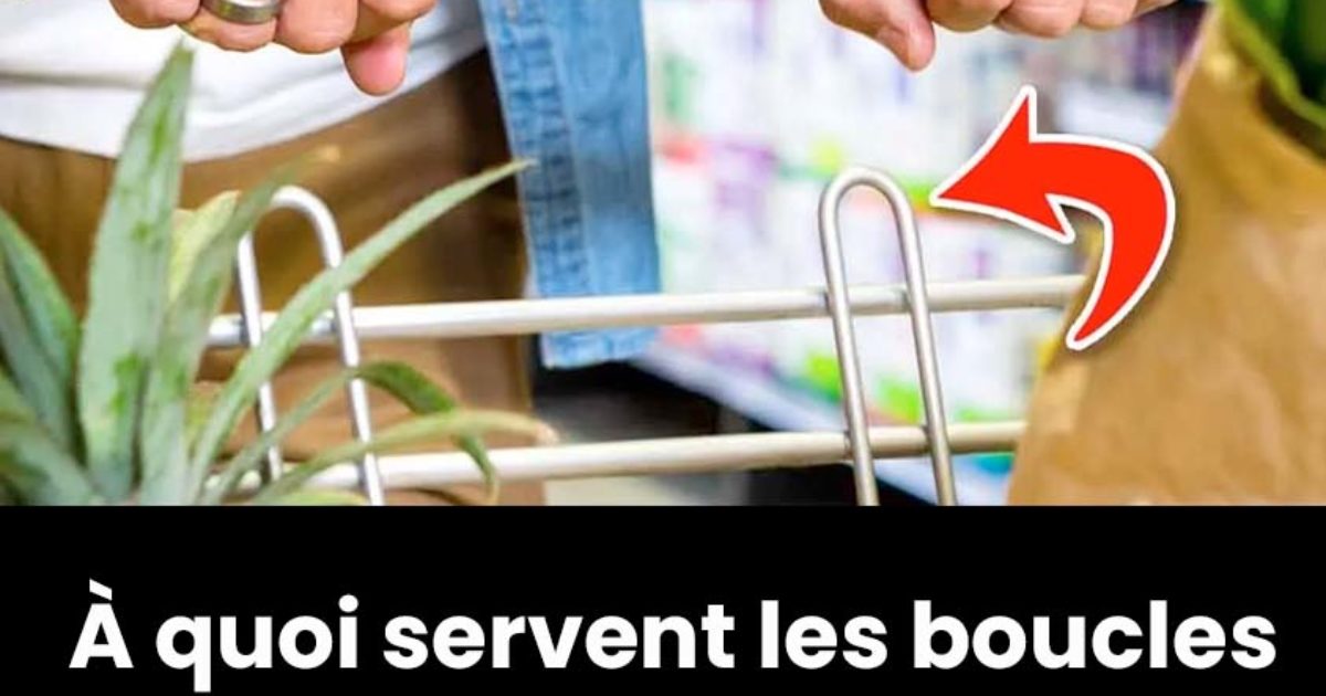 Voilà à quoi servent les boucles sur les caddies du supermarché