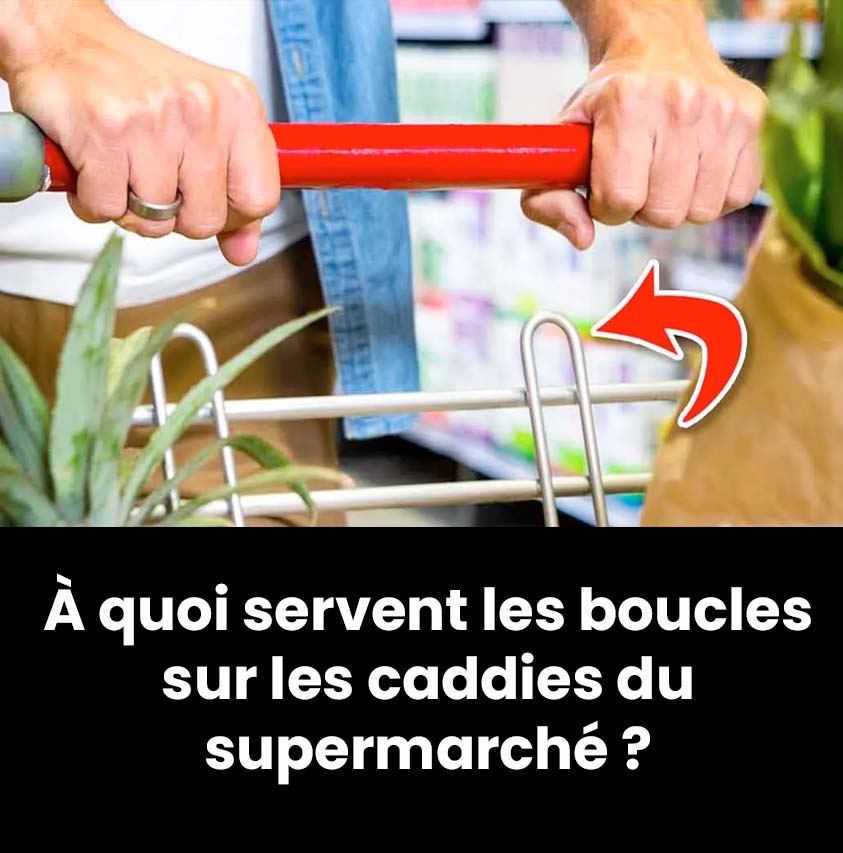 Voilà à quoi servent les boucles sur les caddies du supermarché